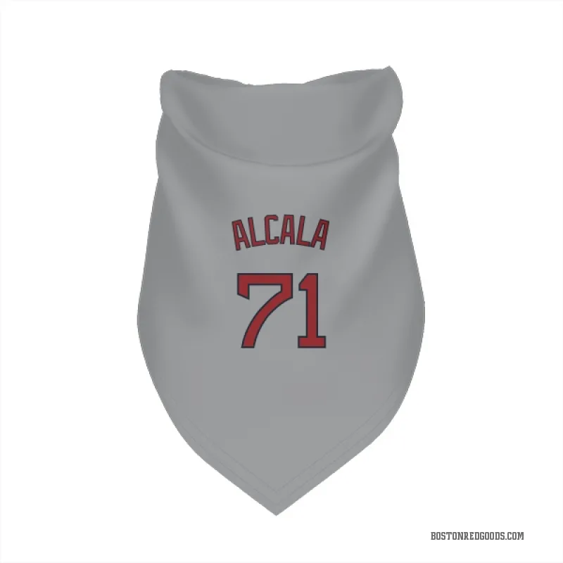 Jorge Alcala Gray Boston Red Sox Cat & Dog Pet Bandana