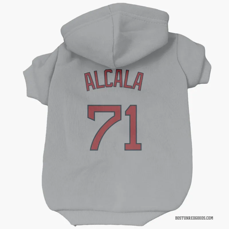 Jorge Alcala Gray Boston Red Sox Cat & Dog Pet Hoodie