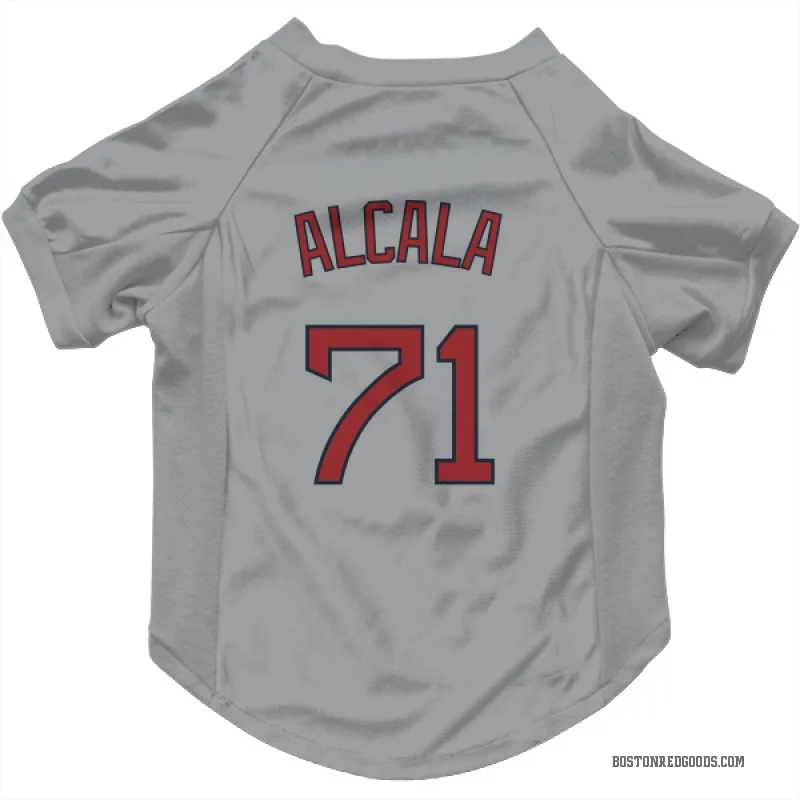 Jorge Alcala Gray Boston Red Sox Cat & Dog Pet Jersey