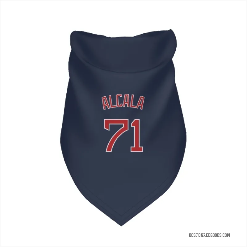 Jorge Alcala Navy Boston Red Sox Cat & Dog Pet Bandana