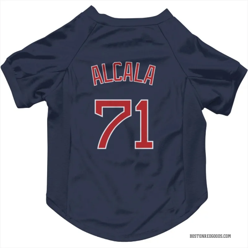 Jorge Alcala Navy Boston Red Sox Cat & Dog Pet Jersey