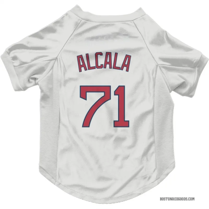 Jorge Alcala White Boston Red Sox Cat & Dog Pet Jersey